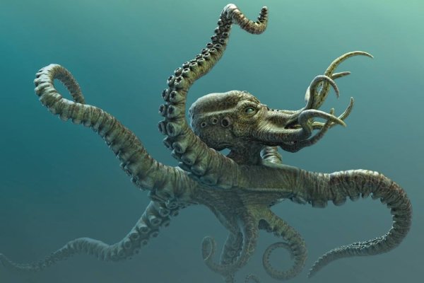 Kraken даркнет рынок